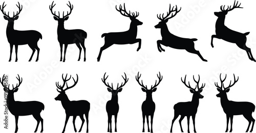 Deer Silhouette Collection with Stag in Various Poses Isolated on White Background, Wild Forest Animal Set for Hunting, Wildlife and Nature Design