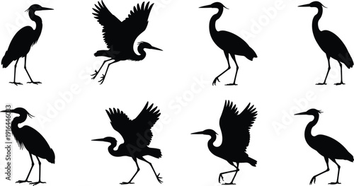 Heron Bird Silhouette Collection Isolated on White Background, Elegant Wading Birds in Flying and Standing Poses, Black Vector Wildlife Illustration Set