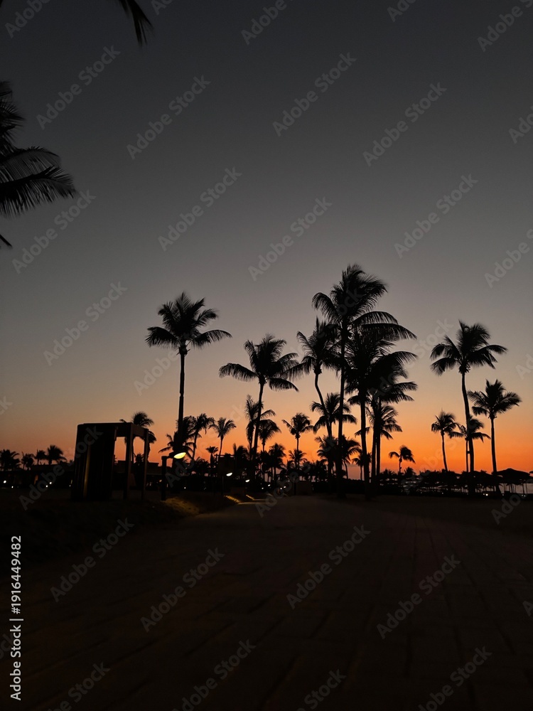 Obraz premium palm trees at sunset