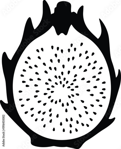 Dragon fruit cross section showing seeds and outer skin silhouette vector illustration
