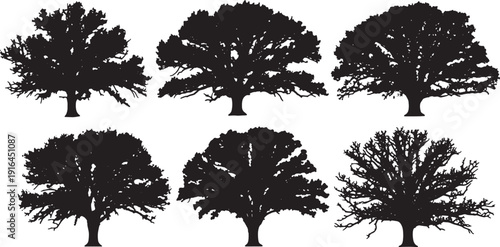 Black Solid Majestic Oak Tree Silhouettes Set of Six on White Background