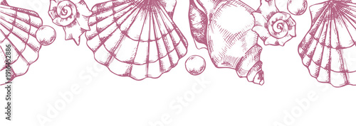 Seamless seashell border. Vector sketch illustration.