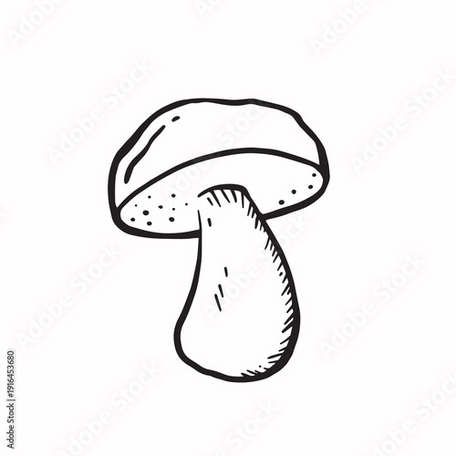 Boletus mushroom line sketch monochrome vector illustration