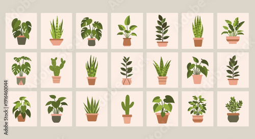 Collection of diverse potted plants in various pots on a neutral background for decoration