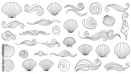 Wide variety of sea shells and flowing wave patterns in black and white line art for an ocean themed creative coloring activity.