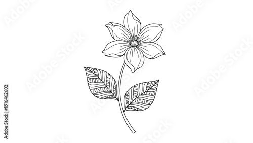 Beautiful black and white line art drawing of a single six-petaled flower on a stem with two leaves decorated with intricate geometric patterns.