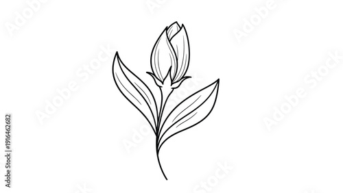 Botanical line art illustration of a single tulip flower bud with leaves isolated on a plain white background for coloring.