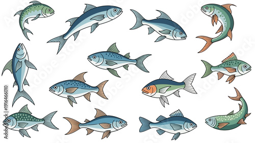 A colorful collection of various fish species against a white background.