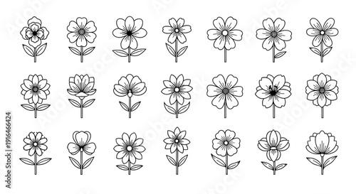 Floral Symphony: A collection of exquisite floral line art in a range of captivating designs, perfect for adding a touch of elegance and natural beauty.