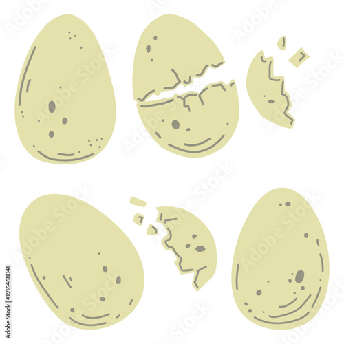 Set of eggs in shells. Hand drawn flat vector. Bird or reptile egg. Animal. Broken, cracked, pieces. Protein food. Breakfast. Isolated elements. Children illustration