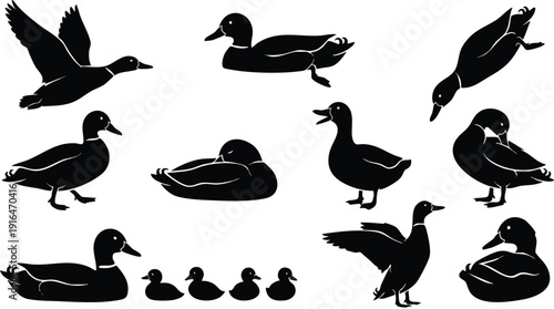 Collection of Duck Silhouettes in Various Poses.