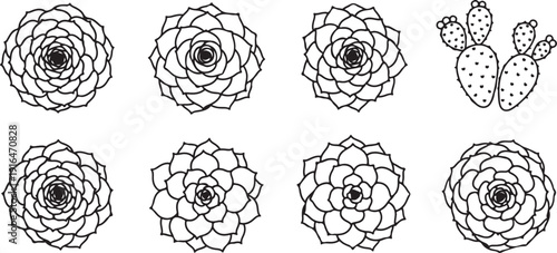 Succulent Collection and Prickly Pear Cactus Line Art Icons Isolated on White Background