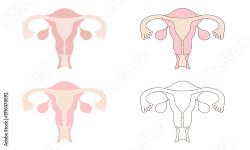 子宮のイラストセット（子宮・卵巣・卵管）