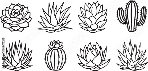 Collection of succulent and cactus line art illustrations isolated on white background