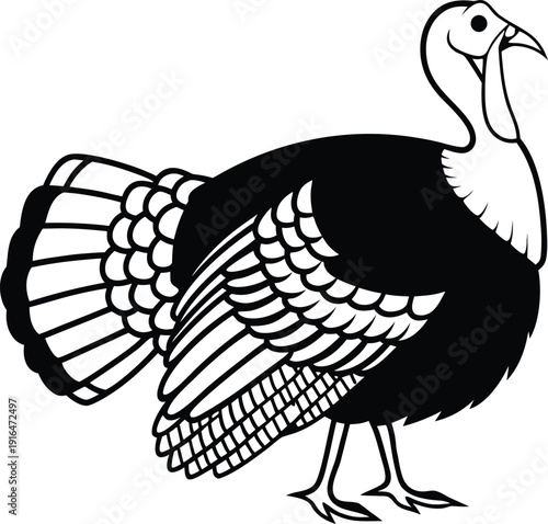 Wild Turkey standing in side view, rendered in a clean, thin black line art vector illustration, celebrating rural wildlife.