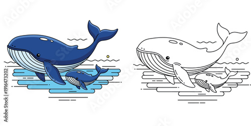 Cute blue whale mother and baby swimming in the ocean vector illustration set. Isolated colored cartoon characters and black and white outline version for coloring book pages and education.