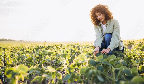 Foto Young agronomist woman inspecting soybean plants in cultivated field at sunset