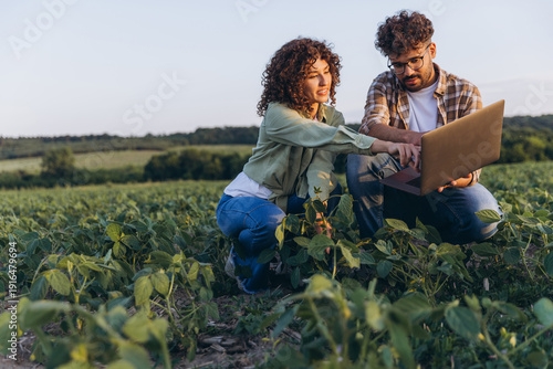Tableau sur toile Agronomists analyzing soybean plants using laptop in cultivated field