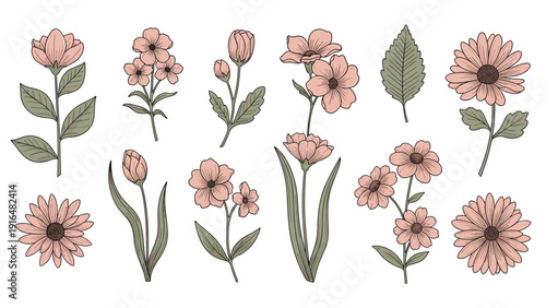 Hand drawn botanical set features various delicate peach wildflowers and green leaves for vintage floral design projects.