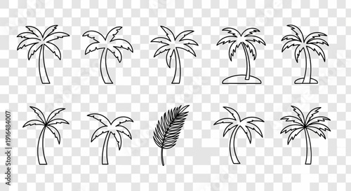 Collection of various hand-drawn outline palm tree icons and a single palm leaf, perfect for tropical and summer designs.