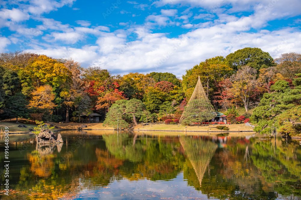 Fototapeta premium 東京都文京区 秋晴れの六義園