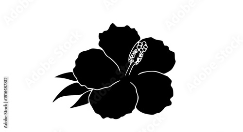 Elegant black and white illustration of a hibiscus flower in full bloom