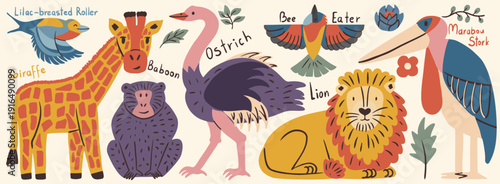 Vector set of cute cartoon African animals and birds including giraffe, lion and baboon, ostrich and stork with handwritten text names isolated on a light background.