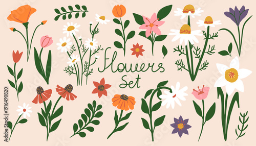 Сollection of cute hand drawn spring garden flowers and leaves. Floral vector set. Botanical elements for summer design.