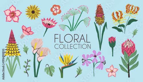 Vector collection of colorful exotic tropical flowers and leaves with protea, gloriosa, bird of paradise and calla lily isolated on blue background for summer design.