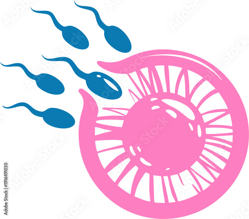 Sperm cells swimming towards egg cell for fertilization concept