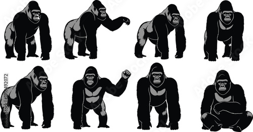 Gorilla Character Illustration Collection Showing Powerful Ape Poses and Expressions Vector Artwork Isolated on White Background for Wildlife, Mascot and Graphic Design