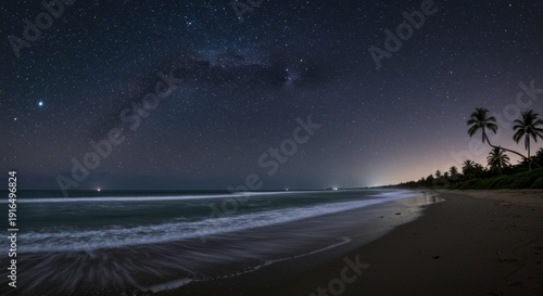 starry night beach with milky way over calm ocean and palm trees