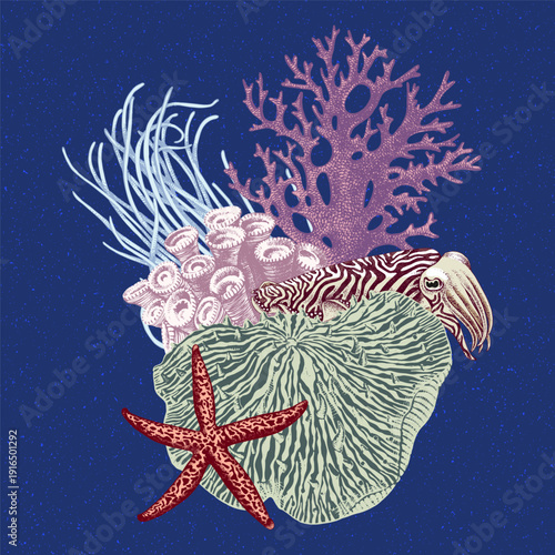 Coral reef group with sea star and cuttlefish