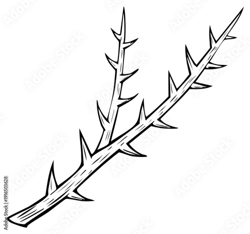 Sharp Thorny Branch Detailed Illustration Protective Element Outline
