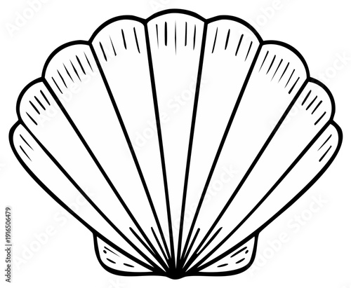 Stylized Scallop Seashell Illustration Outline