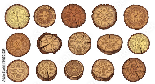 Collection of various wooden log cross sections.