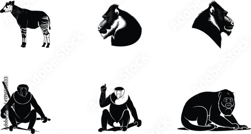 Six black and white animal silhouettes
