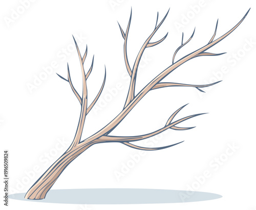 Stylized illustration of bare tree branch against a white backdrop.