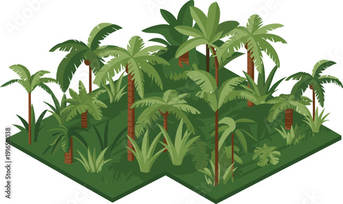 Isometric tropical forest with palm trees jungle plants and lush greenery nature landscape vector illustration environment design,