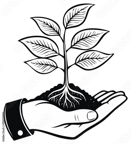 Hand holding plant sapling in soil symbol of growth, nature and sustainable agriculture, showing environmental stewardship