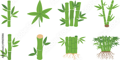 Minimalist bamboo plant collection with green stems leaves and roots botanical vector illustration nature eco design set,