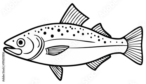 Stylized Outline Drawing of a Fresh Salmon Fish with Spots and Fins Isolated on White Background