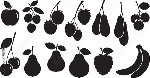 Silhouettes of various fruits on white background illustration set
