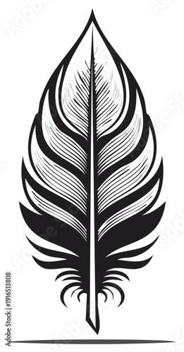 Detailed black and white feather illustration on white background for design