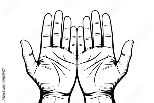 A detailed illustration of two human hands with palms facing forward and fingers spread apart