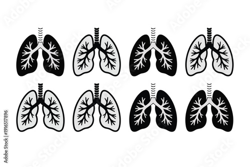 Human Lung Anatomy Illustrations in Black and White