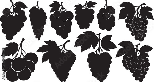 Black silhouettes of grapes and leaves on white background