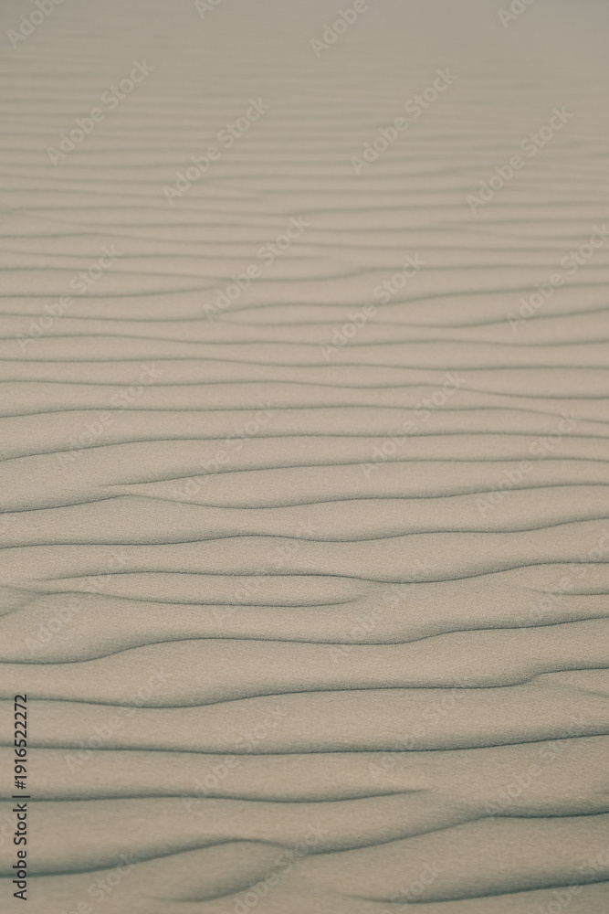 Obraz premium Tranquil image of windshaped sand waves with pale tones and graceful curves for artistic use