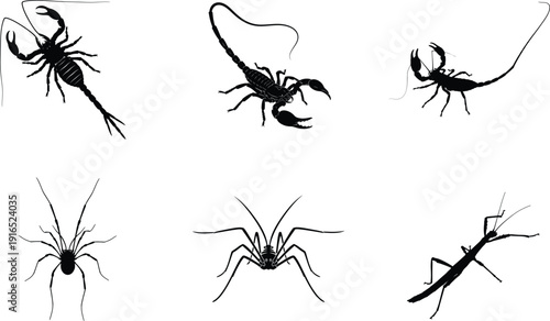Collection of scorpion illustrations in various poses