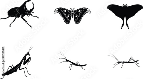 Collection of abstract insect silhouettes